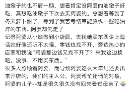 江北区为什么选择专业追讨公司来处理您的债务纠纷？